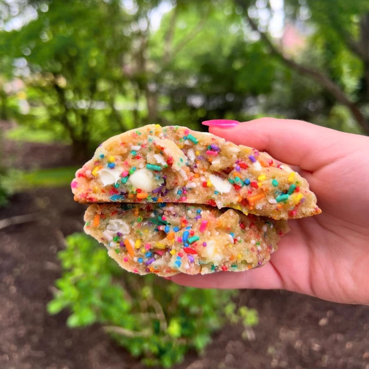 Individually Wrapped Cookies